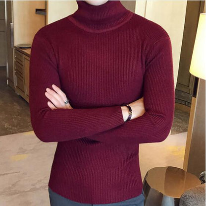 sanyamk 2022 Korean Slim Solid Color Turtleneck Sweater Mens Winter Long Sleeve Warm Knit Sweater Classic Solid Casual Bottoming Shirt