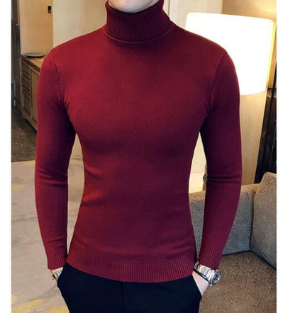 sanyamk 2022 Korean Slim Solid Color Turtleneck Sweater Mens Winter Long Sleeve Warm Knit Sweater Classic Solid Casual Bottoming Shirt